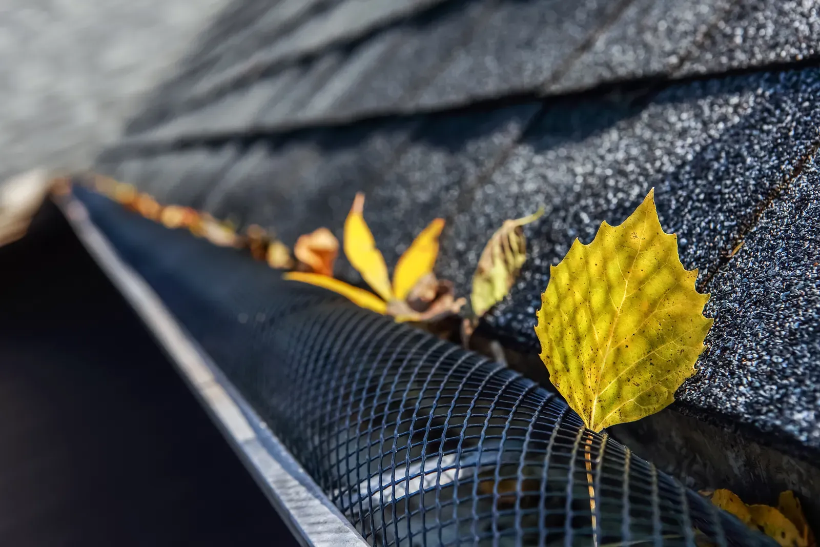 An image showing a residential home with newly installed, repaired, or replaced gutters, along with gutter guards, all hero-approved. | You First Home Services